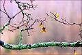 552 - AFTER RAIN - HONKANEN JARMO - finland